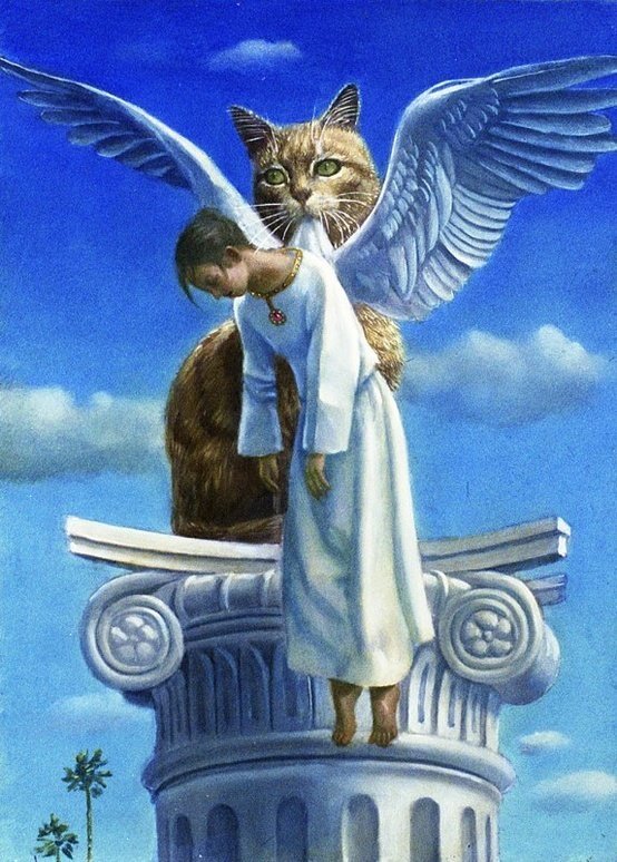 Токухиро Каваи