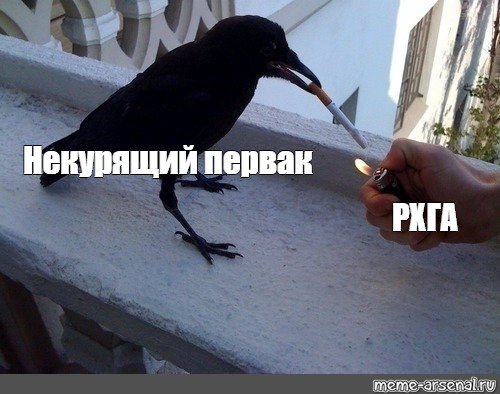 Ворон с ножом Мем