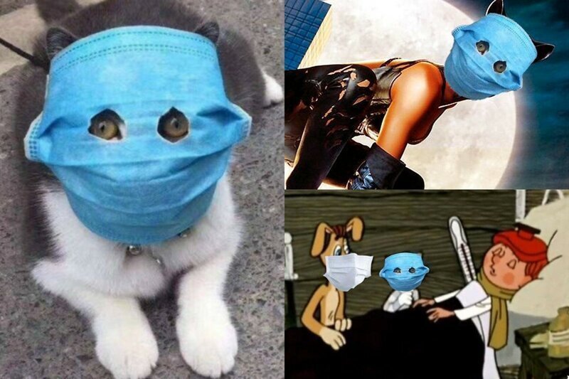 Одетая маска прикол