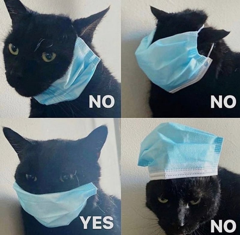 Маски. Котик