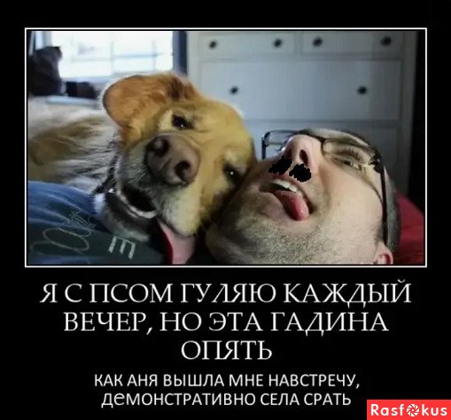 Прогулка с собакой демотиватор