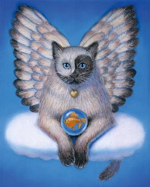 Котенок с крылышками