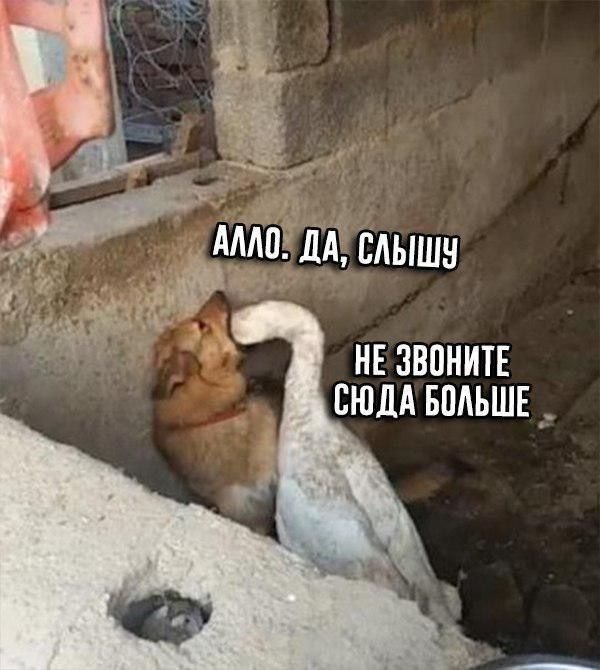 Алло меня слышно