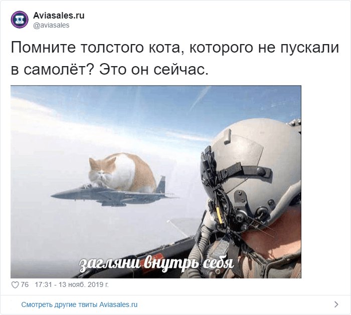 Кот Виктор Аэрофлот мемы