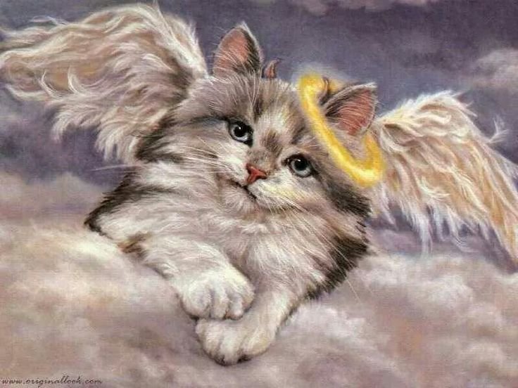 Коты художники Джой Кэмпбелл