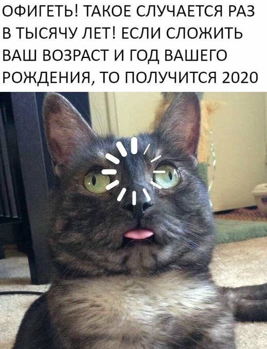 Сигнал потерян Мем