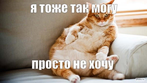 Я тоже так могу но не хочу кот