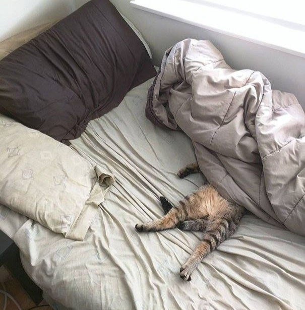 Подвинься с девушкой на большой кровати