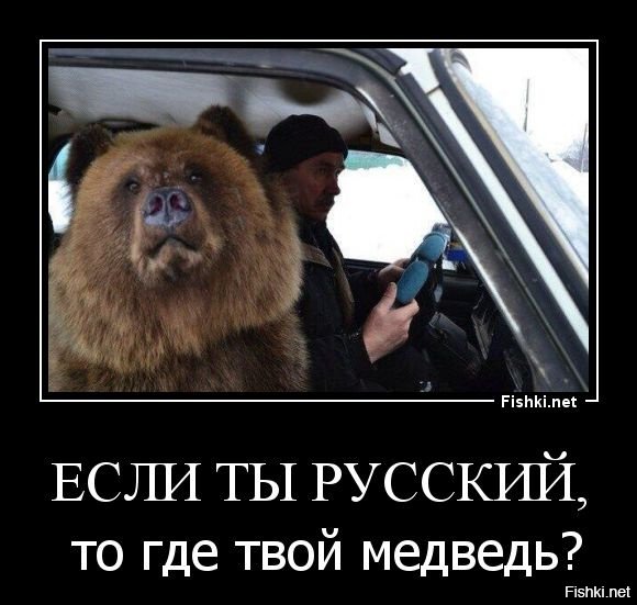 Мемы с медведем