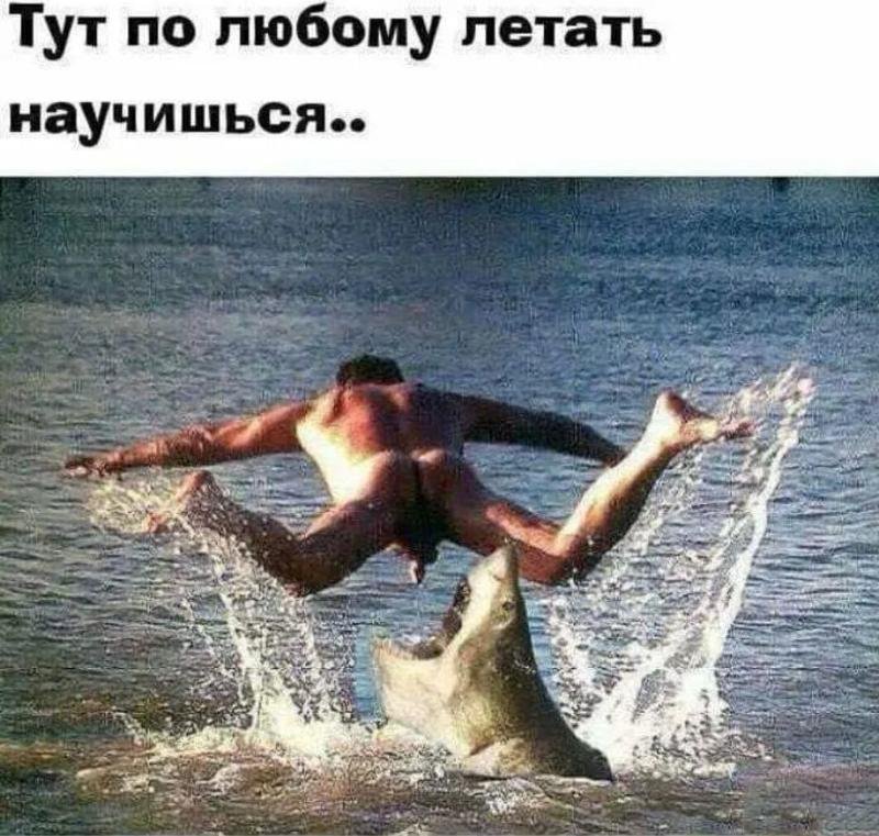 Юмор в картинках и фотографиях