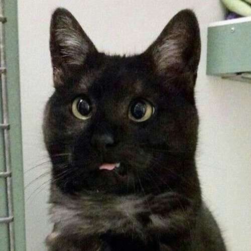 Связь потеряна