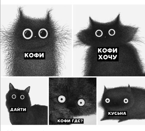 Мемы с котиками