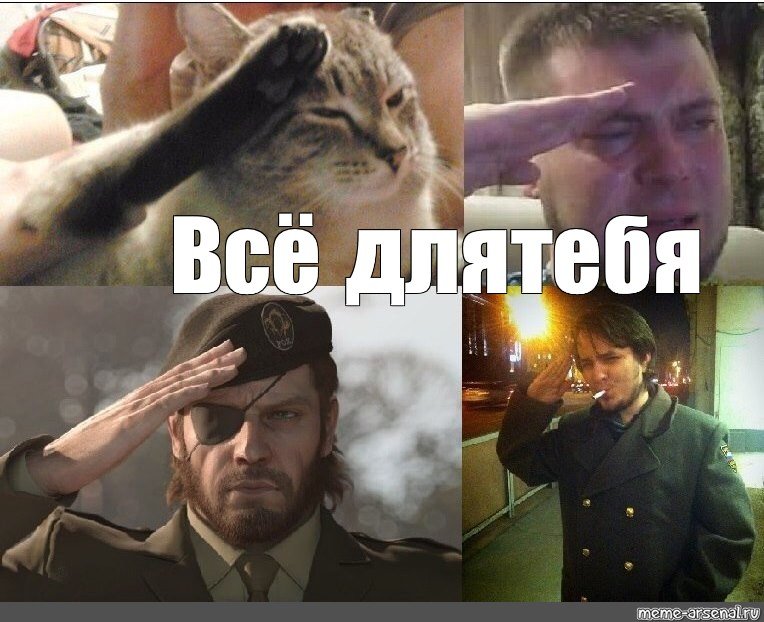 Кот отдающий честь