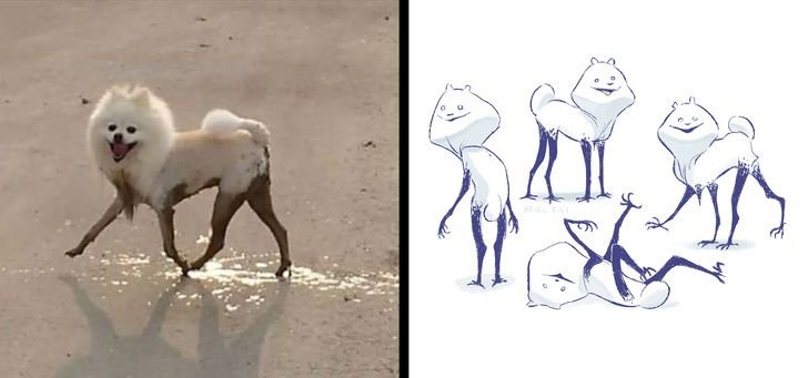 Мем шпиц с грязными лапами