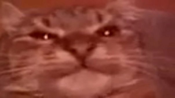 Кит ты маму мав