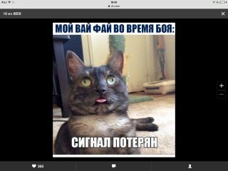 Кот сигнал потерян Мем