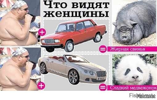 Сладкий Медвежонок