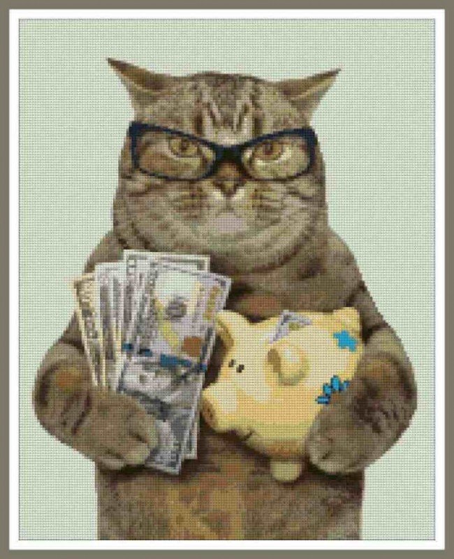 Котик с денежкой