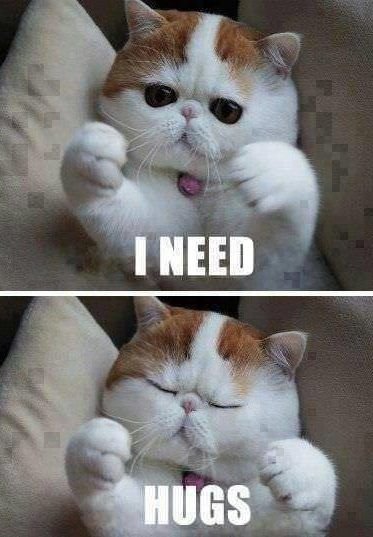 Я хочу обнимашки