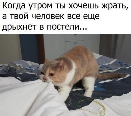 Ирина вставай