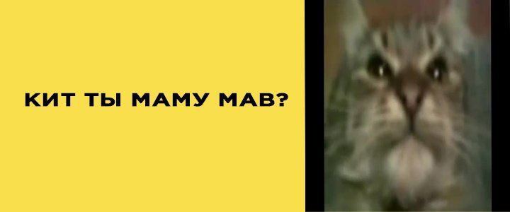 Кит ты маму мав