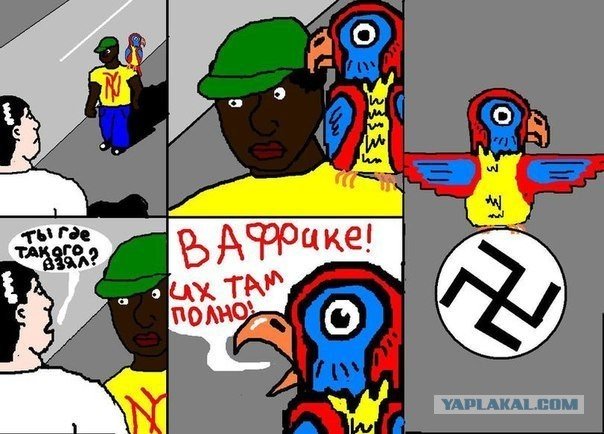 Шутки про расистов