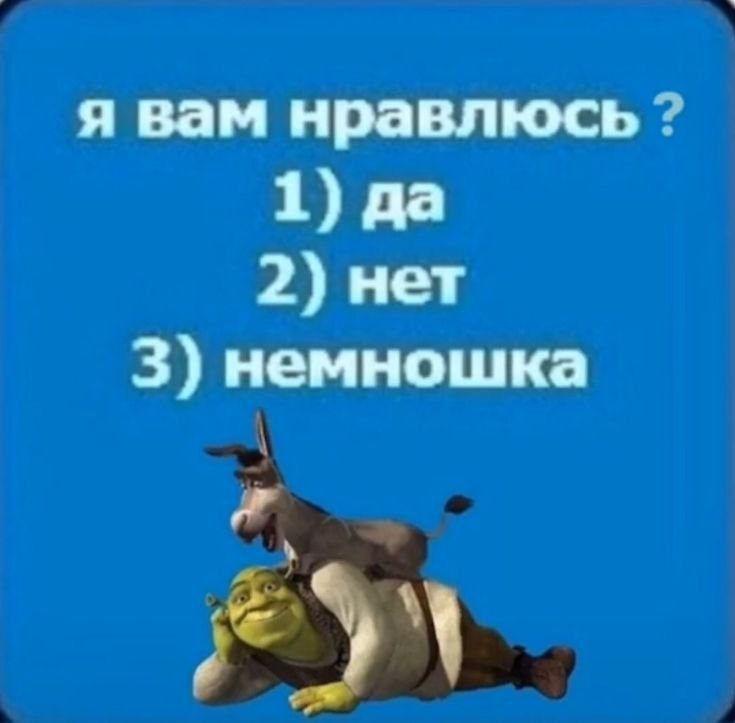 Я вам нравлюсь да нет немножко Мем
