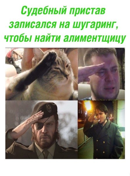 Отдать честь Мем