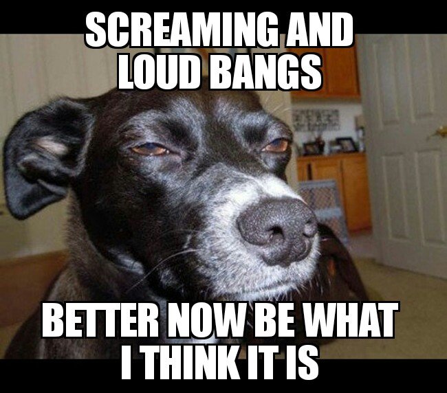 Мопсяка-подозревака следит за тобой