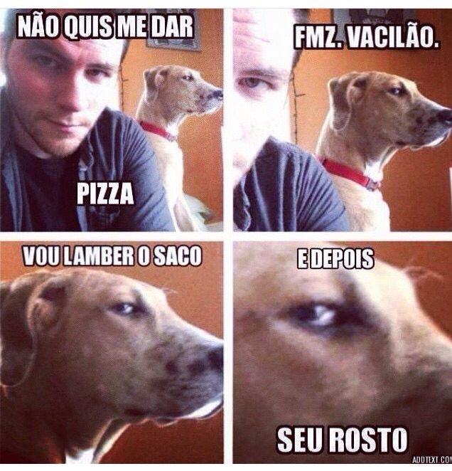 Подозрительная собака Мем