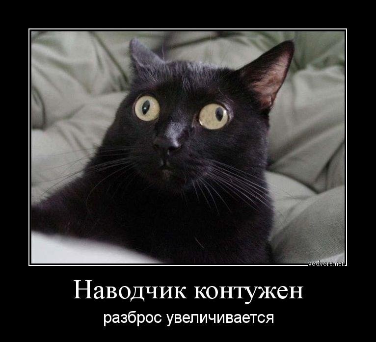 Котьс глазами в разные стороны