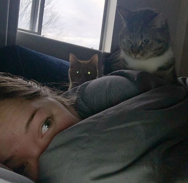 Кот проснулся