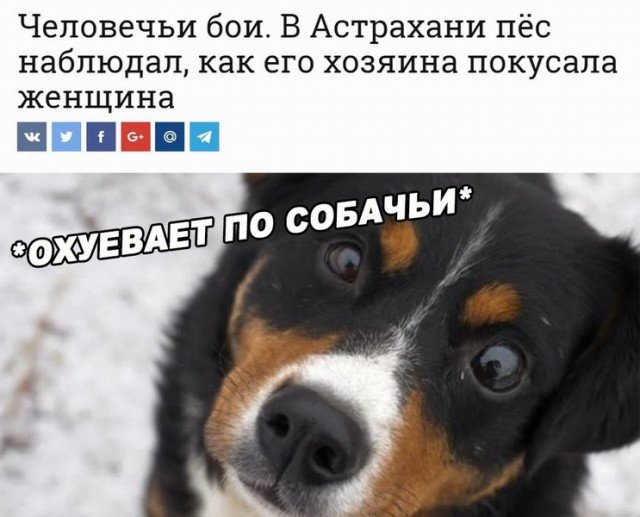 Шутки про Астрахань