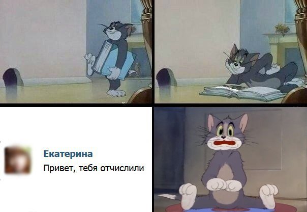Ну погоди запрет