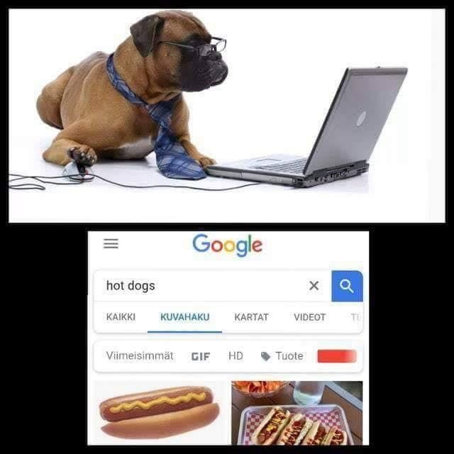 Хот дог Мем