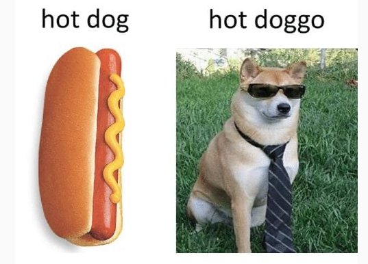 Хот дог Мем