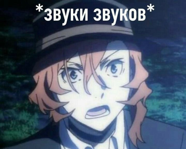 Мемы из бродячих псов