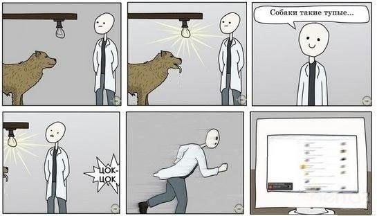 Собака Павлова юмор