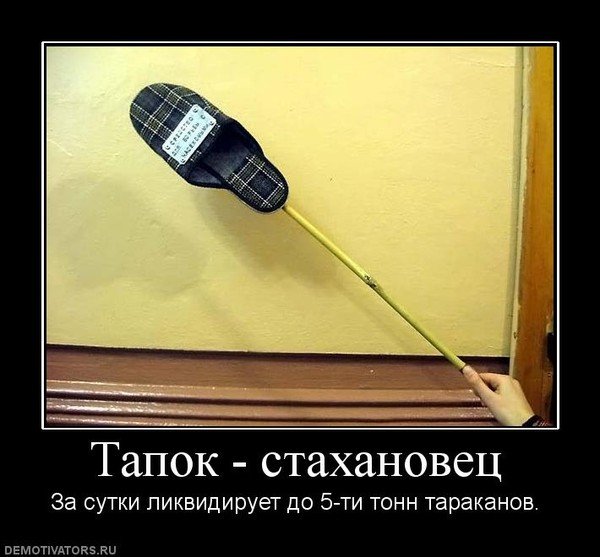 Тапок от тараканов в голове