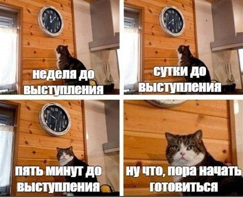 Котик с часами Мем