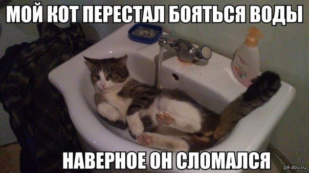 Котик сломался