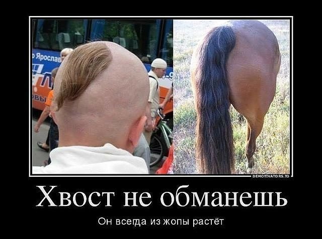 Хвост демотиватор