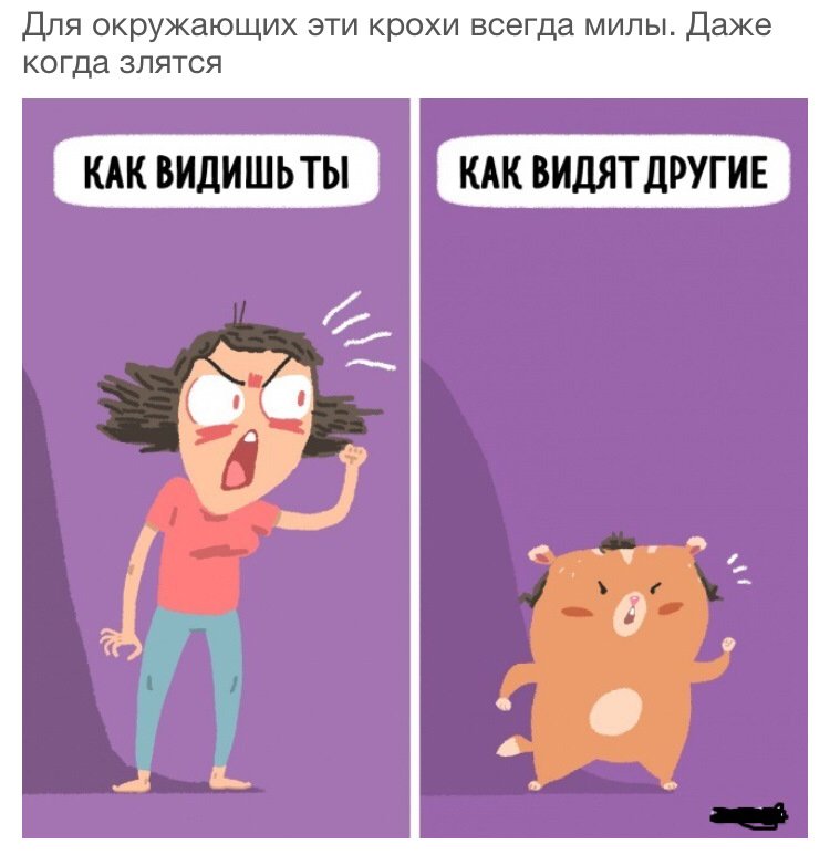 Мемы про девушек маленького роста