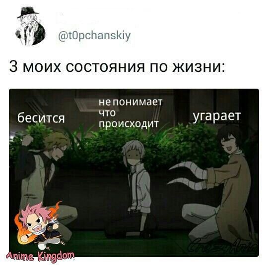 Великий из бродячих псов мемы