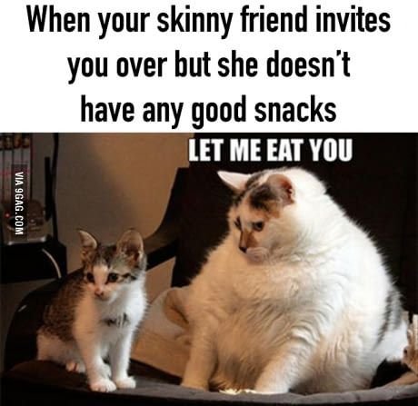 Кот большой кот поменьше Мем