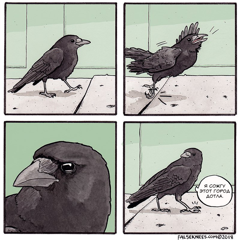 Мемы с воронами