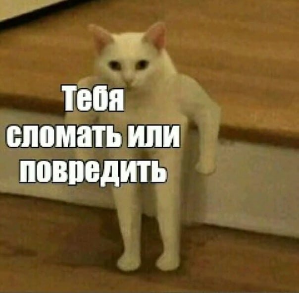 Тебя сломать или повредить кот