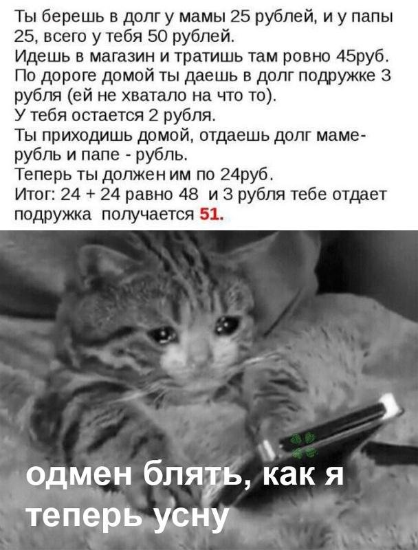 Где у кошек урчальник