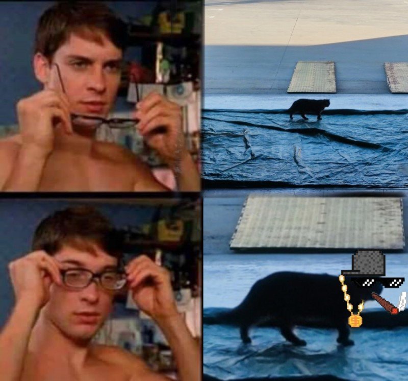 Питер Паркер надевает очки