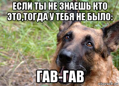 Пёс сериал Мем